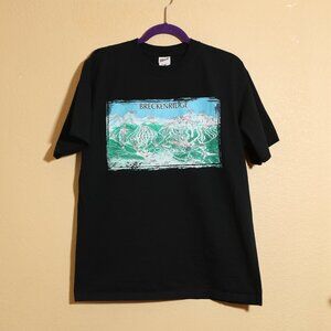 Vintage Breckenridge Map Tee Shirt (L)